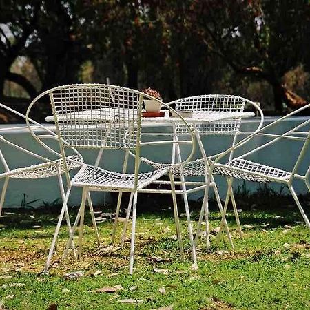 Hot Spring Bungalow In Limpopo Gemsbokfontein Esterno foto