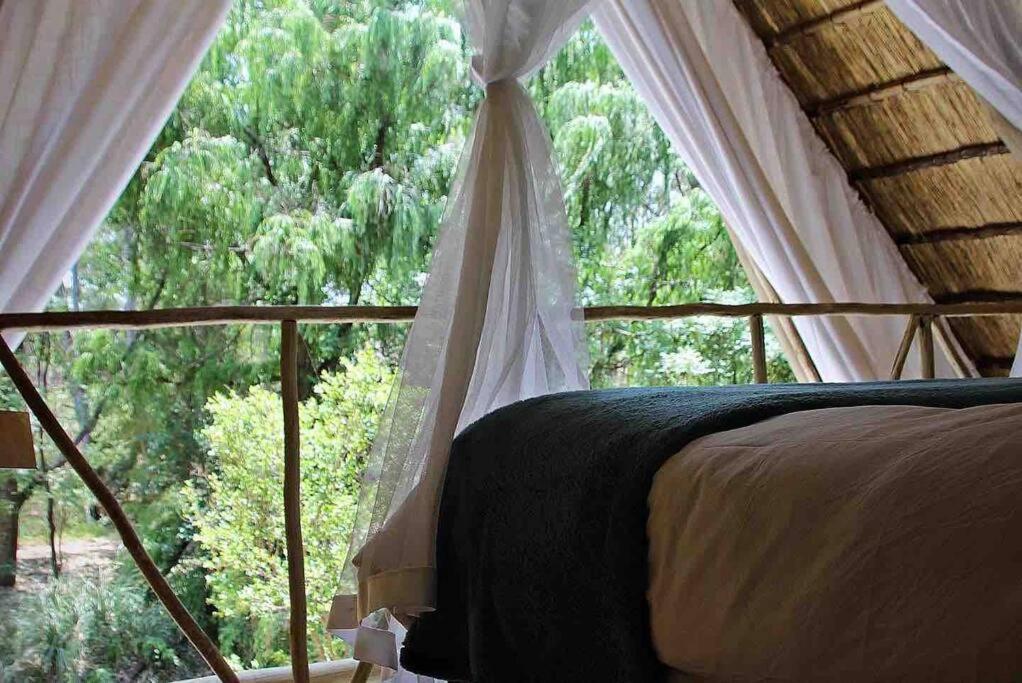 Hot Spring Bungalow In Limpopo Gemsbokfontein Esterno foto