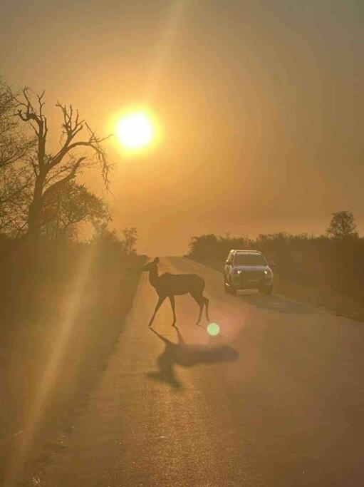 Hot Spring Bungalow In Limpopo Gemsbokfontein Esterno foto