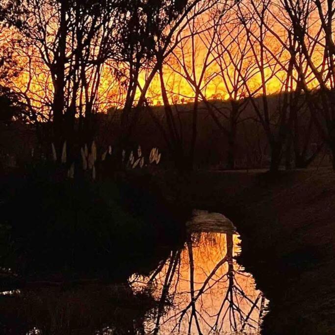 Hot Spring Bungalow In Limpopo Gemsbokfontein Esterno foto
